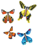 Flutter-by Butterfly