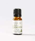 Banksia Aroma Pod - Small Eucalyptus Gift Box