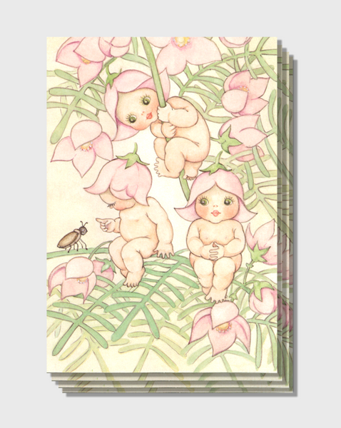 Boronia Baby Cards - Pack of 6