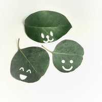 Smiling Leaves - Leaf Cutting Nature Craft Tools