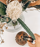 Banksia Aroma Pod - Small Eucalyptus Gift Box