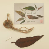 Gum Leaf Weaver Kit