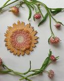 Paper Daisy Weaving Kit