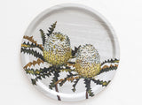 Showy Banksia Tray 39cm