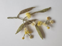 Wattle Blossom Felt Sewing Kit