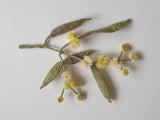 Wattle Blossom Felt Sewing Kit