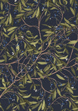 Botanicals by Edith Rewa: A Wrapping Paper Book