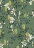 Botanicals by Edith Rewa: A Wrapping Paper Book