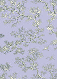 Florence Broadhurst: A Wrapping Paper Book