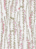 Botanicals by Edith Rewa: Gift Card Pack