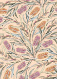 Botanicals by Edith Rewa: Gift Card Pack
