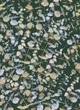 Botanicals by Edith Rewa: Gift Card Pack