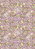 May Gibbs: A Wrapping Paper Book