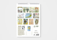 May Gibbs 2026 Calendar