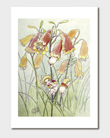 May Gibbs A4 Print - Christmas Bells