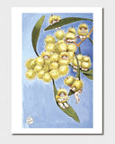 May Gibbs A4 Print - Wattle Babies Blue Sky