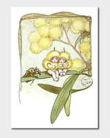 May Gibbs A4 Print - Wattle Babies