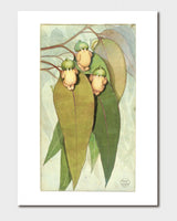 May Gibbs A4 Print - Gumnut Babies