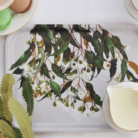 White Collection - Marri Gum Rectangular Tray