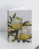 Notepad - Snowy Banksia