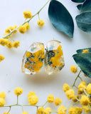 Golden Wattle Gems