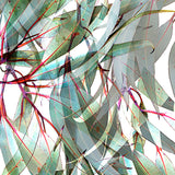 White Avalon silk scarf