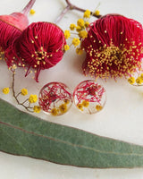 Golden Wattle & Gumnut Blossom - Button Stud Resin Earrings