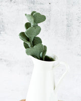 Felt Eucalypt Stem