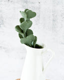 Felt Eucalypt Stem