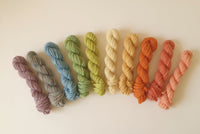 Hand Dyed Yarn - Pack of 10