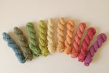 Hand Dyed Yarn - Pack of 10