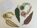 Set of Three Gum Leaf Weavers