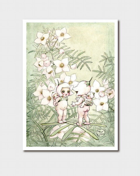 May Gibbs A Little Pale Pink Gossip Card