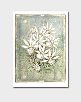 May Gibbs Flannel Flower Babies Card