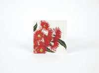 Eucalypt Drink Coasters - Set of 8