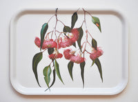 Eucalyptus Tray Small Rectangular