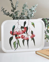 Eucalyptus Tray Small Rectangular