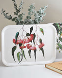 Eucalyptus Tray Small Rectangular