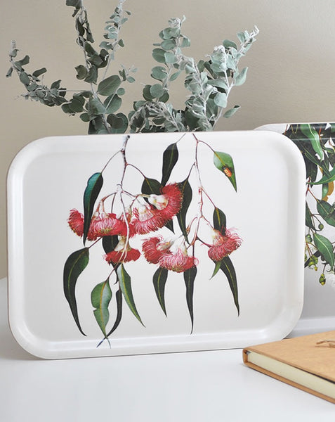 Eucalyptus Tray Small Rectangular