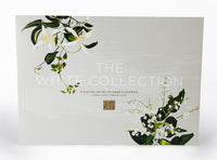 White Collection Dining Placemats (set of 4)